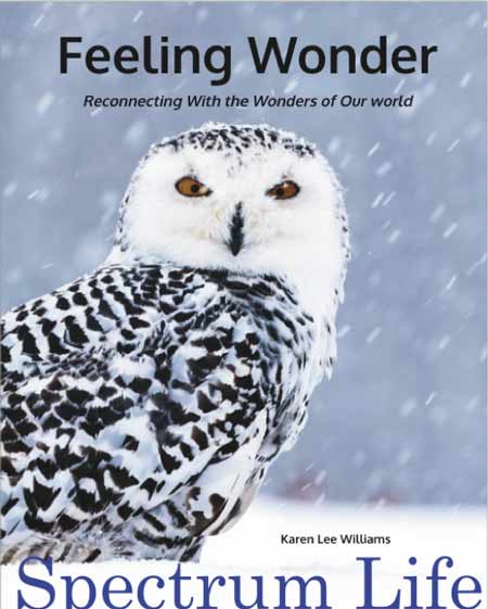 Feeling Wonder - Books about life on the Autism Spectrum